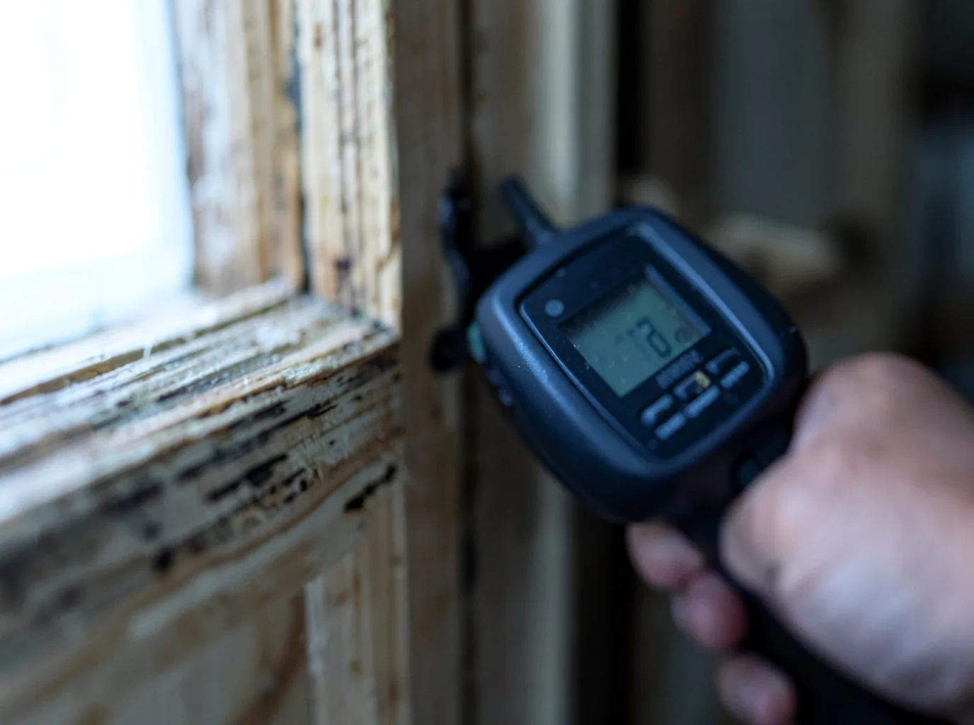Commercial Water Damage Restoration in Withee, WI
